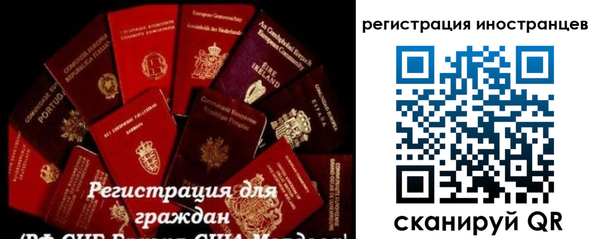 прописка иностранных граждан в Тайге